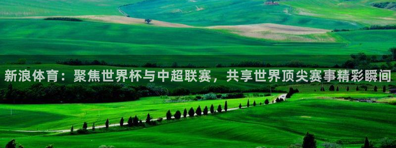 新浪体育：聚焦世界杯与中超联赛，共享世界顶尖赛事精彩瞬间