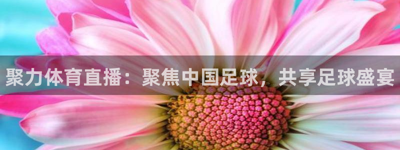 聚力体育直播：聚焦中国足球，共享足球盛宴