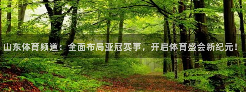 山东体育频道：全面布局亚冠赛事，开启体育盛会新纪元！