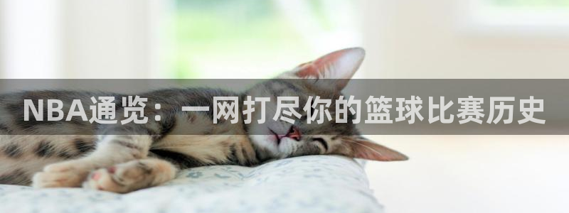 NBA通览：一网打尽你的篮球比赛历史