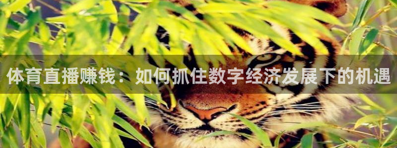 体育直播赚钱：如何抓住数字经济发展下的机遇