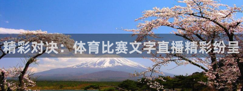 精彩对决：体育比赛文字直播精彩纷呈