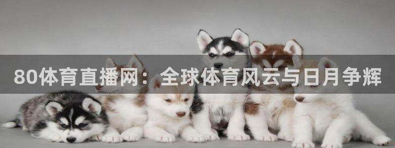 80体育直播网：全球体育风云与日月争辉