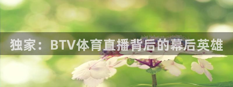 独家：BTV体育直播背后的幕后英雄