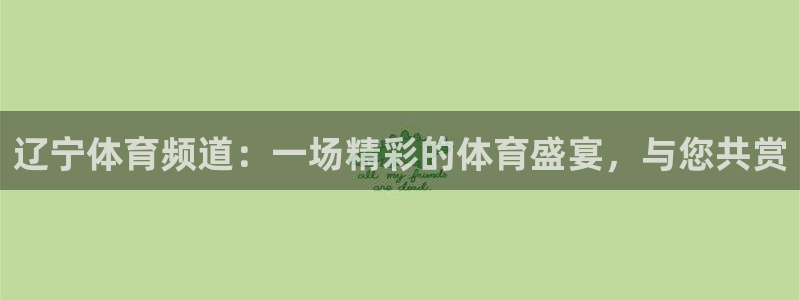 辽宁体育频道：一场精彩的体育盛宴，与您共赏