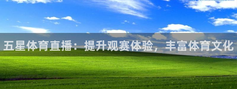 五星体育直播：提升观赛体验，丰富体育文化