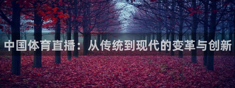 中国体育直播：从传统到现代的变革与创新
