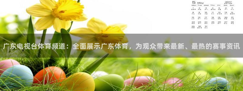 广东电视台体育频道：全面展示广东体育，为观众带来最新、最热的赛事资讯