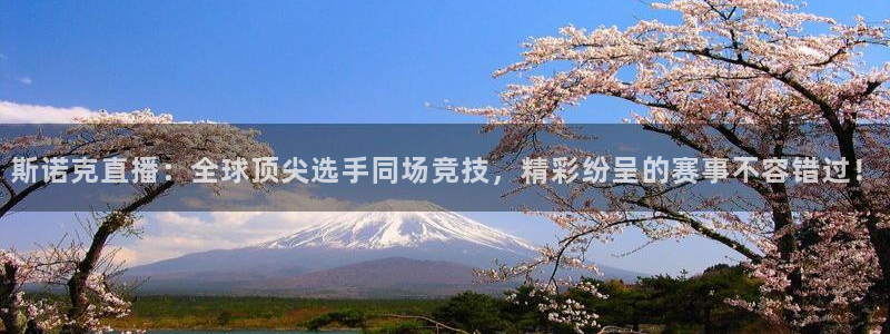 斯诺克直播：全球顶尖选手同场竞技，精彩纷呈的赛事不容错过！