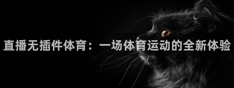 直播无插件体育：一场体育运动的全新体验