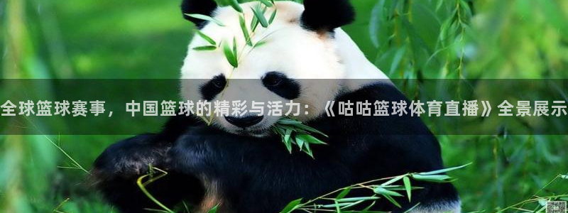 全球篮球赛事，中国篮球的精彩与活力：《咕咕篮球体育直播》全景展示