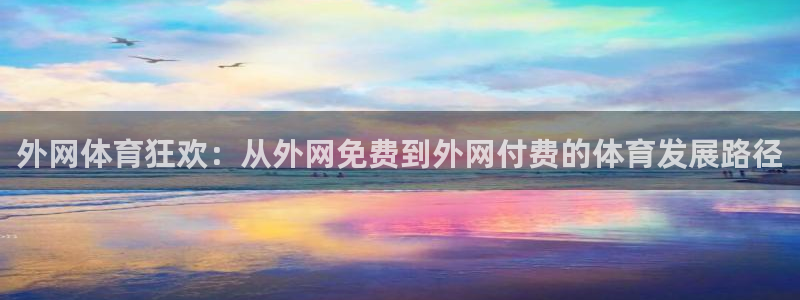 外网体育狂欢：从外网免费到外网付费的体育发展路径