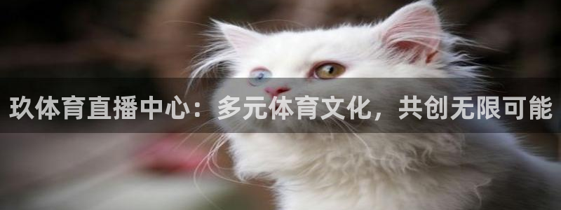 玖体育直播中心：多元体育文化，共创无限可能