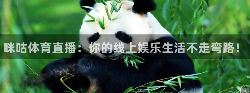 咪咕体育直播：你的线上娱乐生活不走弯路！