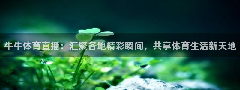 牛牛体育直播：汇聚各地精彩瞬间，共享体育生活新天地