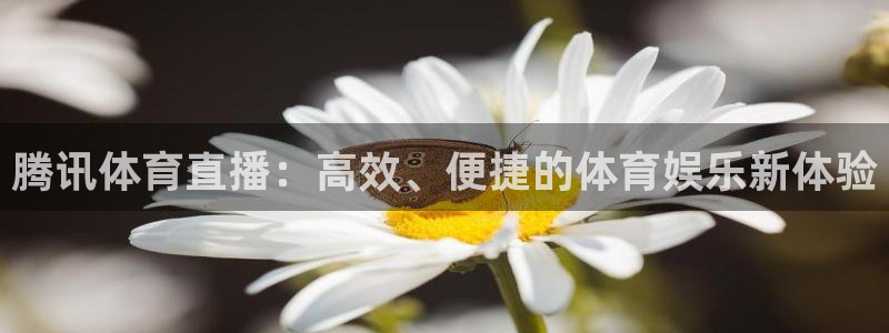腾讯体育直播：高效、便捷的体育娱乐新体验