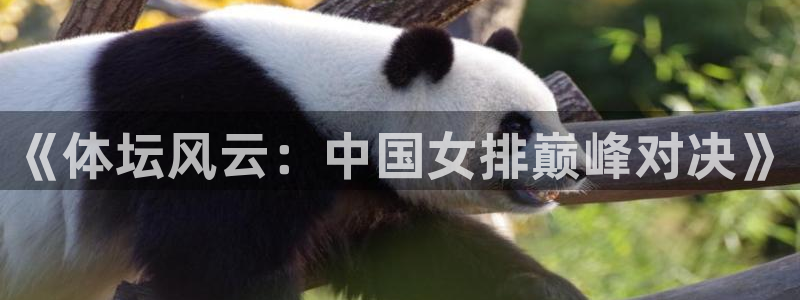 《体坛风云：中国女排巅峰对决》